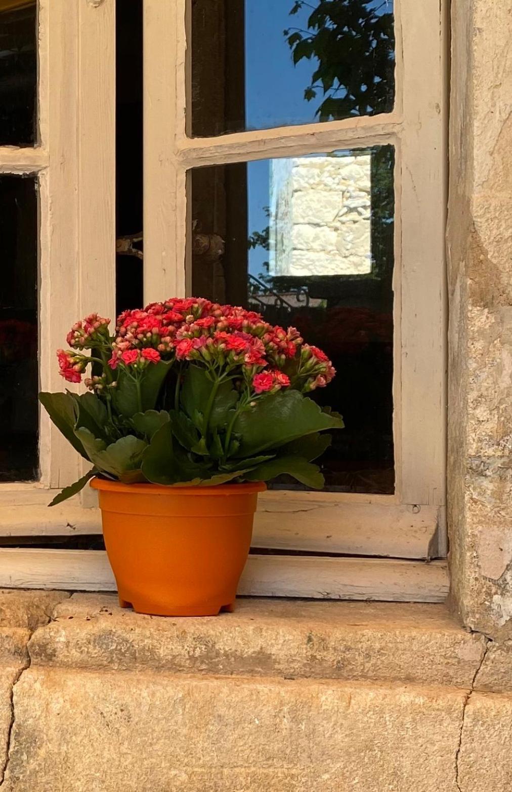 L'Escarpolette Villa Saint-Saturnin-d'Apt Buitenkant foto